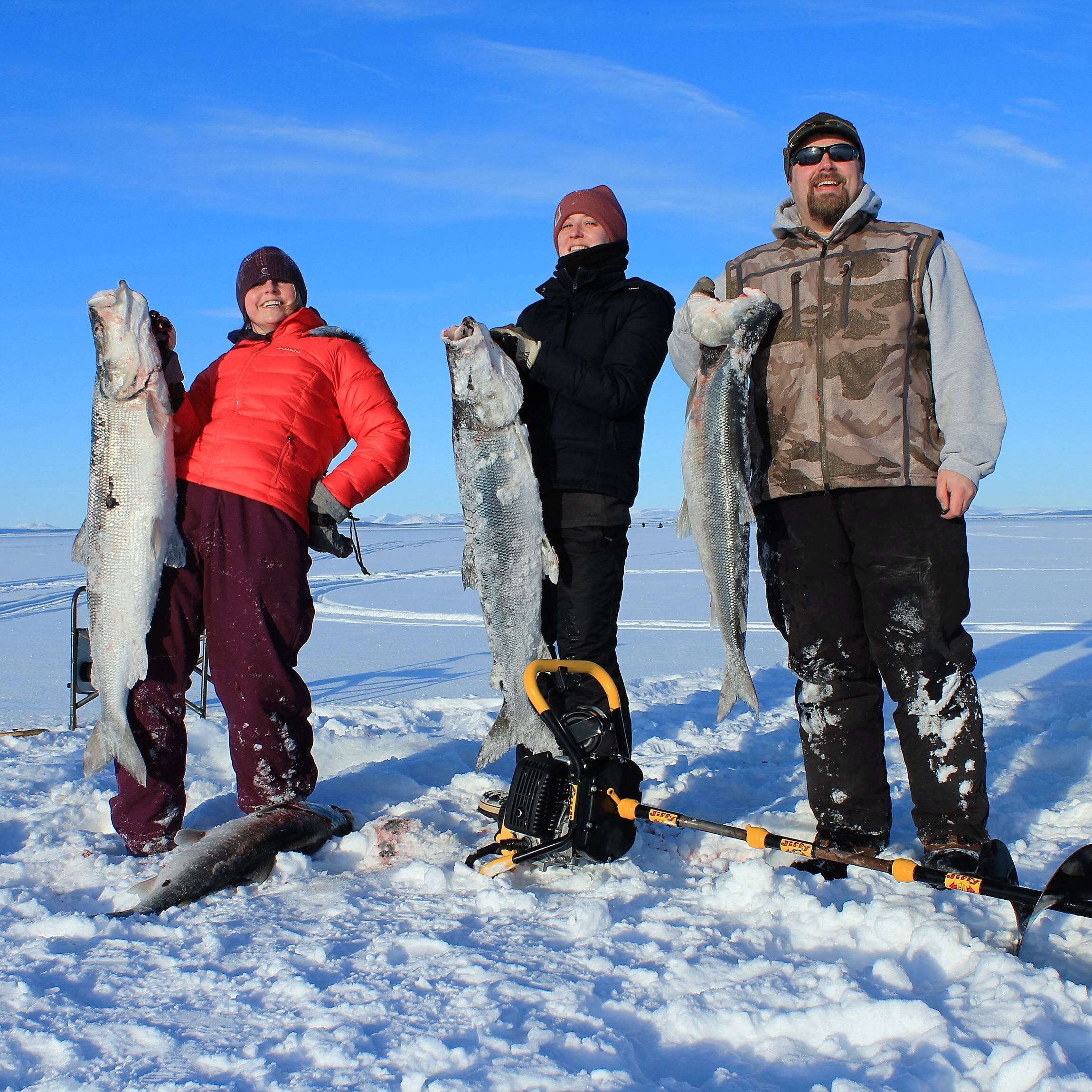 Locais privilegiados para a pesca de lúcio-perca no inverno e dicas de especialistas.